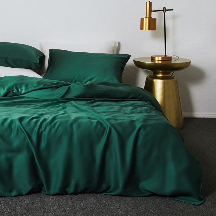涞澳家纺 2018新款素色天丝四件套 铜绿