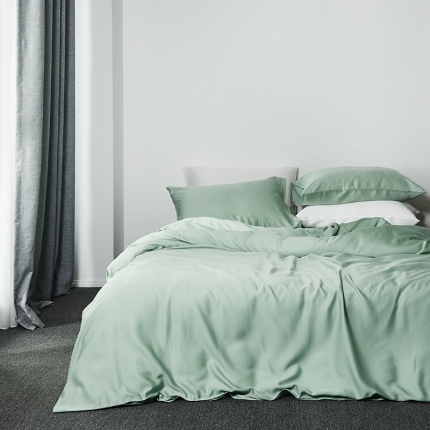 涞澳家纺 2018新款素色天丝四件套 月青
