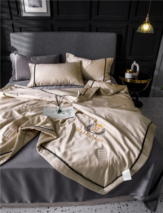 91家纺网 家纺一手货源 找家纺 2019新品空调被可水洗天丝绸夏被三件套臻丝绸夏凉被四件套