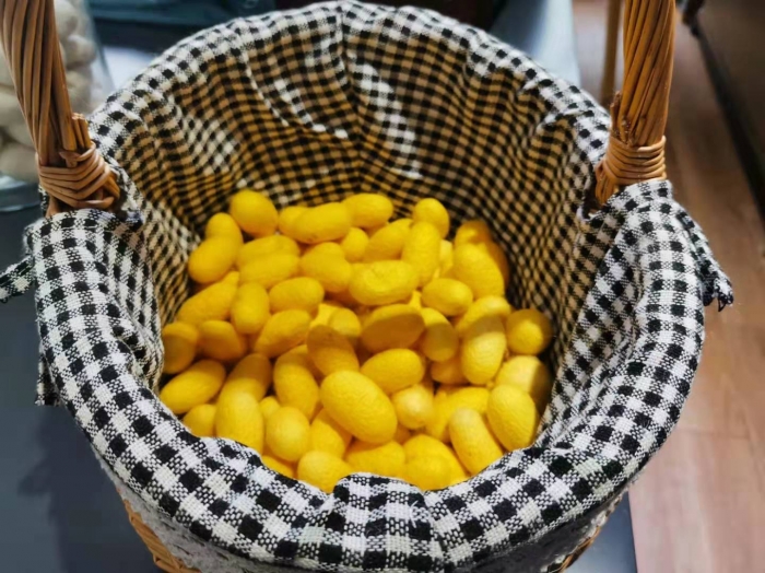 91家纺网 家纺一手货源 找家纺 蚕丝被 桑蚕丝被 纯蚕丝被   手工蚕丝被  黄金蚕丝