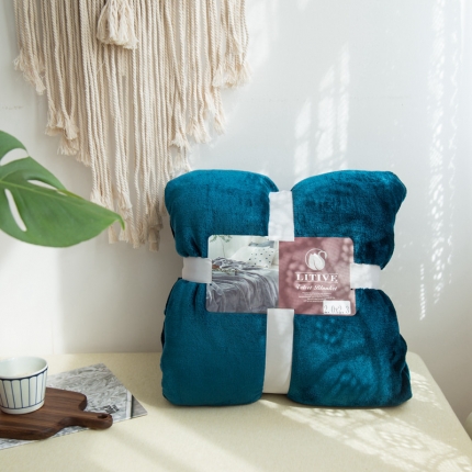 素色加厚纯色1.8KG加厚外贸毛毯单色毯子1.8公斤 绿