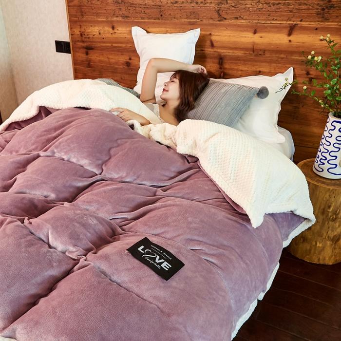 91家纺网 家纺一手货源 找家纺 （总）小燕燕 2022新款多功能可拆洗被子冬被法莱绒被套毯