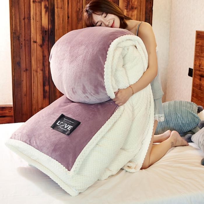 91家纺网 家纺一手货源 找家纺 （总）小燕燕 2022新款多功能可拆洗被子冬被法莱绒被套毯