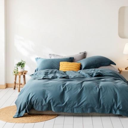 涞澳家纺 2019新款天丝磨毛四件套 羽蓝