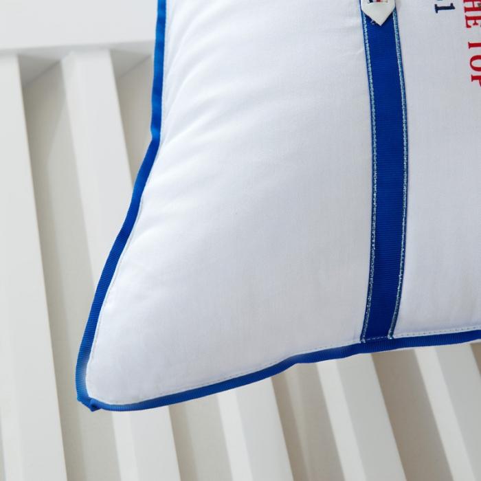 91家纺网 家纺一手货源 找家纺 （总）伟邦枕芯芯 2019新款雅昂羽丝绒枕芯