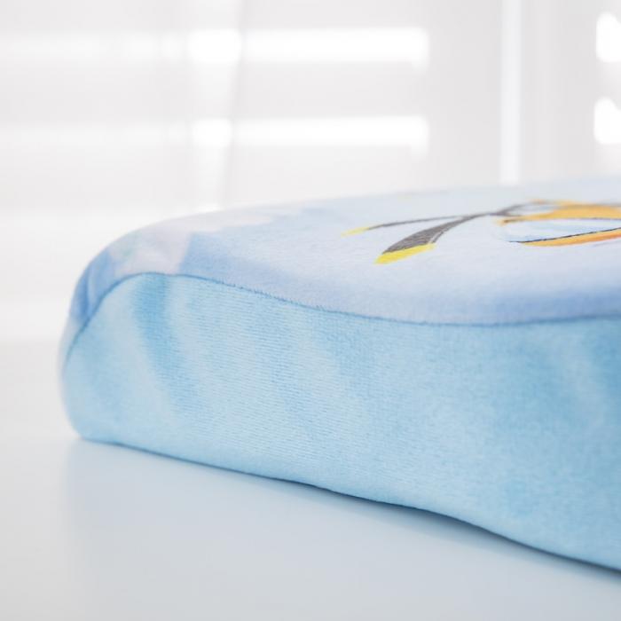 91家纺网 家纺一手货源 找家纺 乐秀家纺 2019新款超柔水晶绒乳胶枕 飞行世界