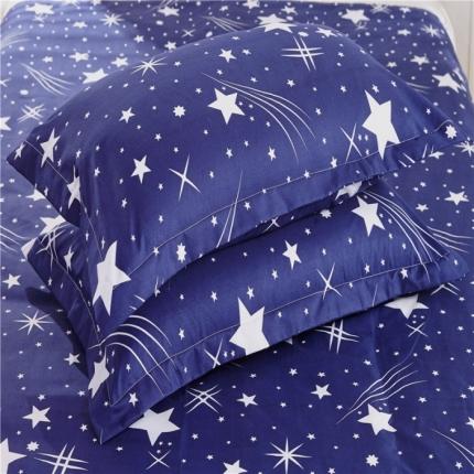 赫然家纺 芦荟棉单品枕套一对48*74 流星雨