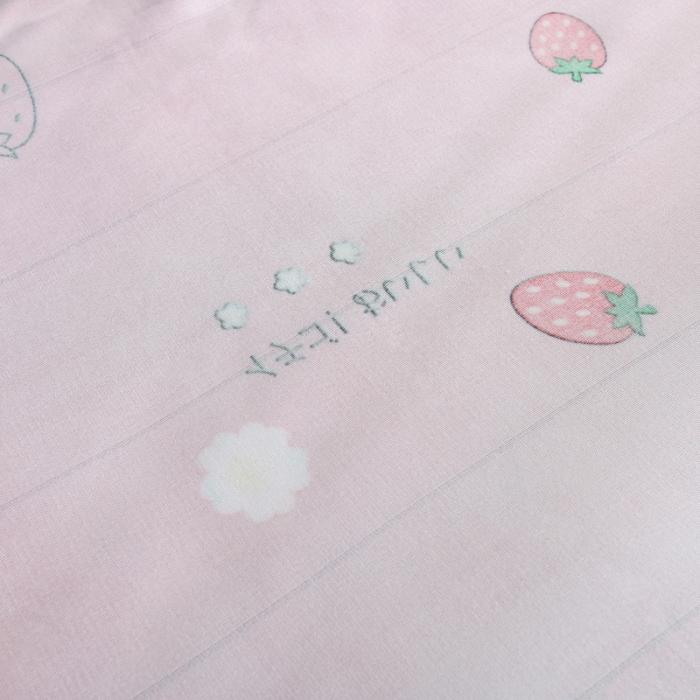 91家纺网 家纺一手货源 找家纺 雨洋家纺 2025新款加厚金貂绒床裙床盖 草莓