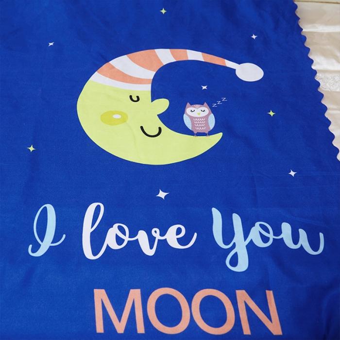 91家纺网 家纺一手货源 找家纺 艾晶美 2019豪华床幔蚊帐单帐纱单布帘单布防尘顶 晚安