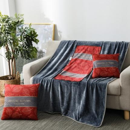 91家纺网 家纺一手货源 找家纺 （总）宝马家纺 2022宝宝绒欧式抱枕毯