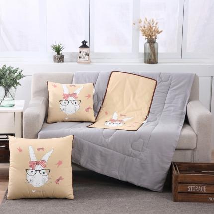 91家纺网 家纺一手货源 找家纺 （总）宝马家纺 2022全棉大板印花抱枕被