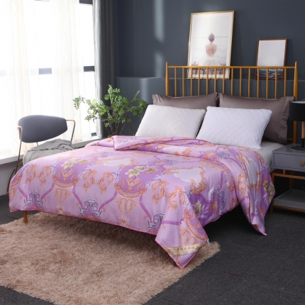 91家纺网 家纺一手货源 找家纺 （总）新款织锦稠印花子春秋被冬被夏凉被空调被芯