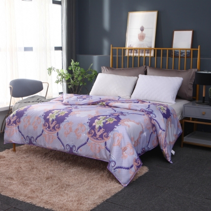 91家纺网 家纺一手货源 找家纺 （总）新款织锦稠印花子春秋被冬被夏凉被空调被芯