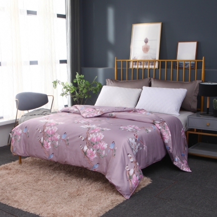 91家纺网 家纺一手货源 找家纺 （总）新款织锦稠印花子春秋被冬被夏凉被空调被芯