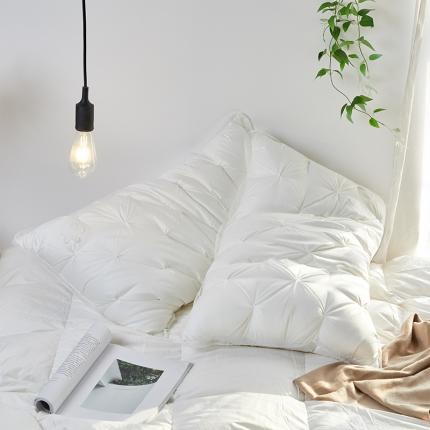 91家纺网 家纺一手货源 找家纺 （总）麦肯锡2020新款羽丝绒枕芯蓦然回首