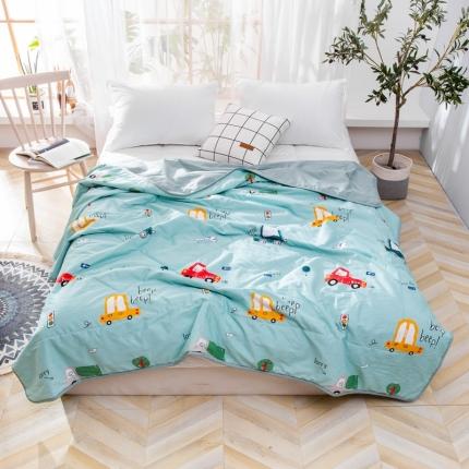 91家纺网 家纺一手货源 找家纺 美真家纺 2020新款纯棉青春系列夏被 汽车王国