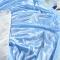 91家纺网 家纺一手货源 找家纺 牵依2021新款双层蕾丝床裙冰丝席 骑士--蓝