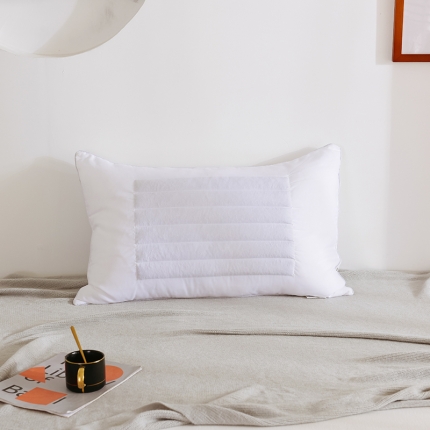 91家纺网 家纺一手货源 找家纺 瑞莉安枕芯 磨毛荞麦两用枕