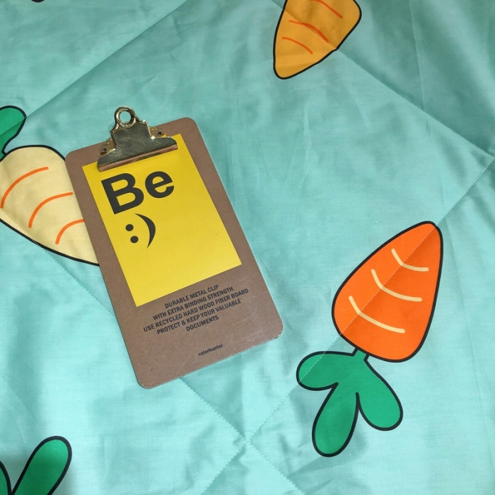 91家纺网 家纺一手货源 找家纺 润缦 2020新款纯棉全棉精梳棉夏被 胡萝卜水绿