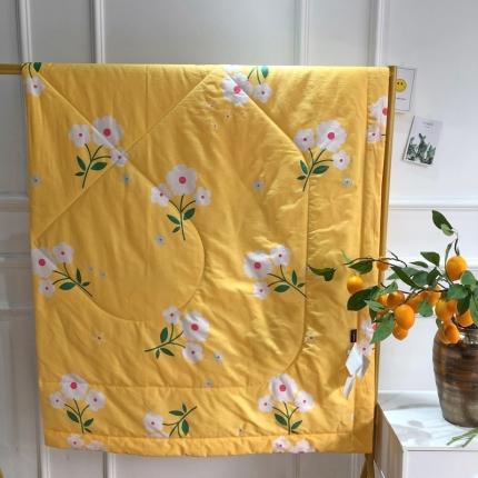 润缦 2020新款纯棉全棉精梳棉夏被 小雏菊