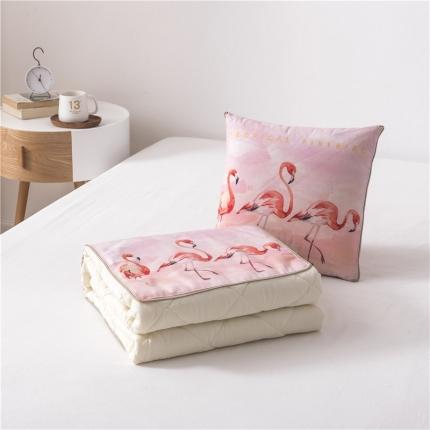 91家纺网 家纺一手货源 找家纺 (总）博笔熊 2020新款短毛绒抱枕被