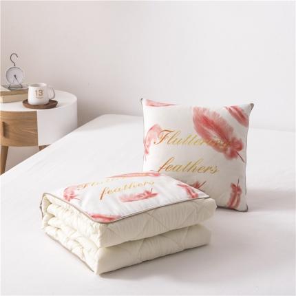 91家纺网 家纺一手货源 找家纺 (总）博笔熊 2020新款短毛绒抱枕被