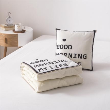 91家纺网 家纺一手货源 找家纺 (总）博笔熊 2020新款短毛绒抱枕被