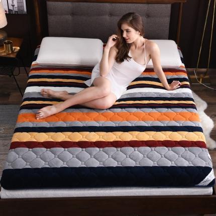 91家纺网 家纺一手货源 找家纺 美真 2020新款法莱绒保暖抗菌床垫 原风景