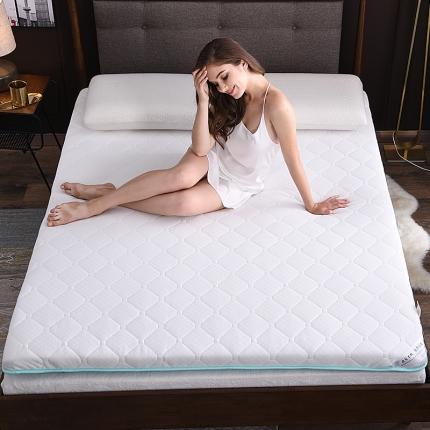 91家纺网 家纺一手货源 找家纺 美真 2020新款针织透气双面抗菌床垫 绿色