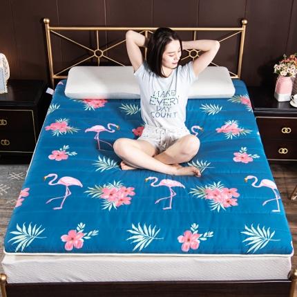 91家纺网 家纺一手货源 找家纺 美真 2020新款印花水洗棉床垫 火烈鸟