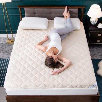 91家纺网 家纺一手货源 找家纺 （总）美真 2020新款素色水洗棉床垫