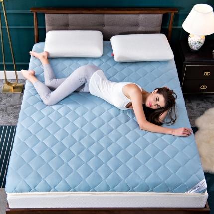 91家纺网 家纺一手货源 找家纺 （总）美真 2020新款素色水洗棉床垫