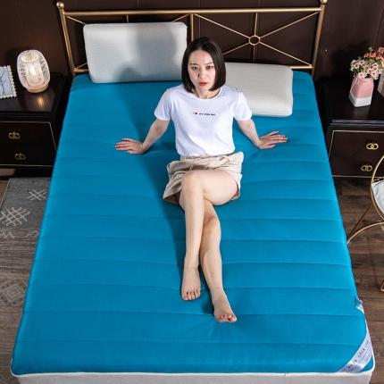 （总）美真 2020新款5D纯色凉感透气床垫