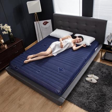 91家纺网 家纺一手货源 找家纺 美真家纺 2020新款六层床垫索瑞纳系列 蓝鸟