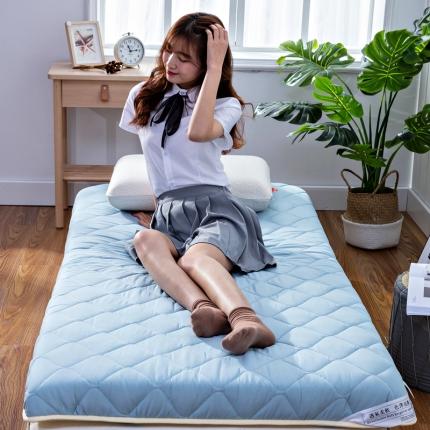 91家纺网 家纺一手货源 找家纺 美真 2020新款单人学生素色水洗棉床垫 浅蓝