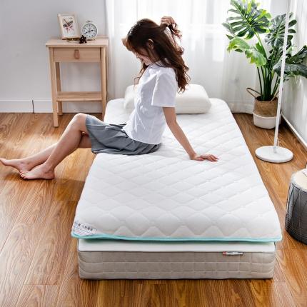 91家纺网 家纺一手货源 找家纺 美真 2020新款针织透气双面抗菌床垫 绿色