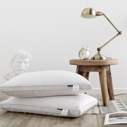 91家纺网 家纺一手货源 找家纺 境月枕芯  2020新款亲肤系列枕  灰