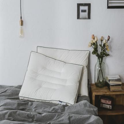 91家纺网 家纺一手货源 找家纺 境月枕芯  2020新款云绒养护枕系列48x74 JY000083云绒养护枕--宁