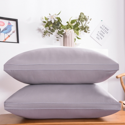 91家纺网 家纺一手货源 找家纺 兴丝露枕芯 荞麦两用枕 花草保健枕  荞麦枕 羽丝枕 四季枕头 中高枕 成人枕