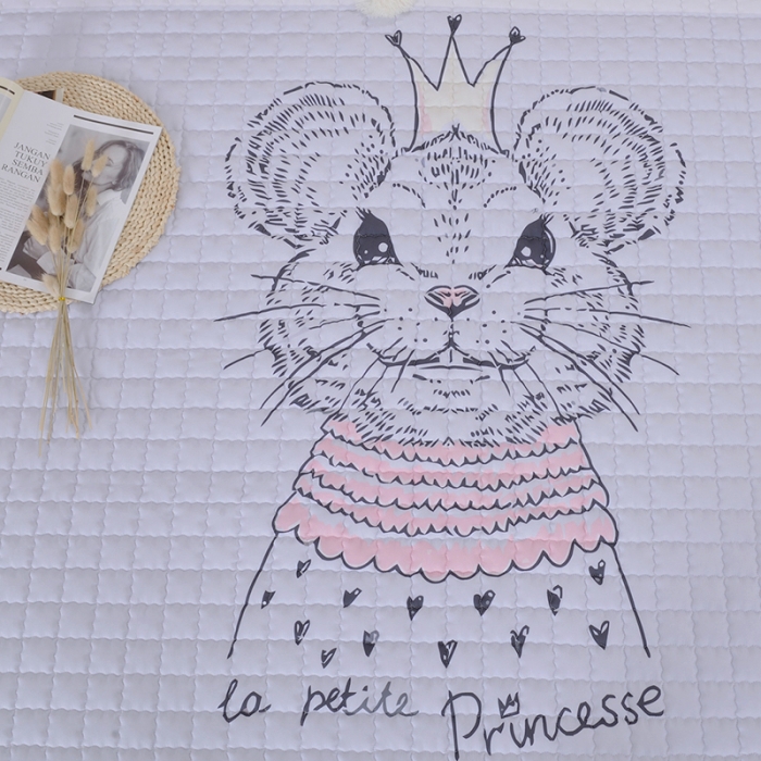 91家纺网 家纺一手货源 找家纺 卡奥 北欧超柔磨毛地垫儿童爬行垫瑜伽垫拍照地毯游戏垫 鼠公主