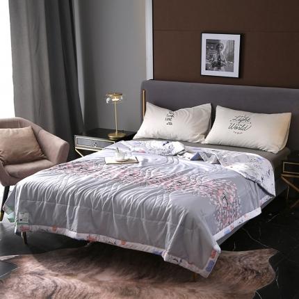 91家纺网 家纺一手货源 找家纺 （总）卡奥 2020新款双面天丝夏被