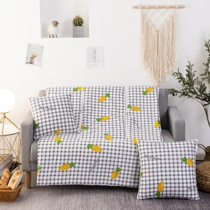 91家纺网 家纺一手货源 找家纺 宝马家纺 2022年精梳棉抱枕被 胡萝卜