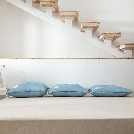 91家纺网 家纺一手货源 找家纺 （总）头等舱 2022新款A类大豆抗菌枕芯