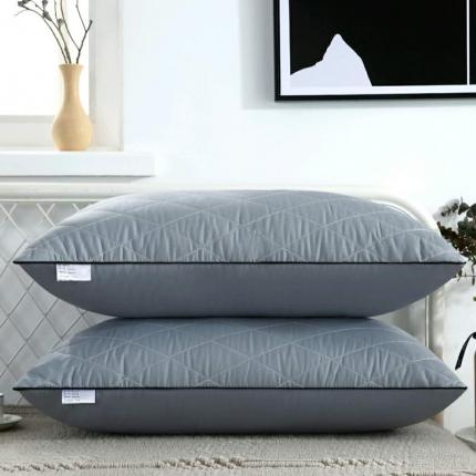（总）天意美 2020新款单边绗绣枕芯枕头48*74cm一只