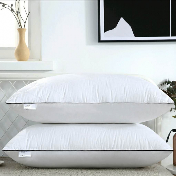 91家纺网 家纺一手货源 找家纺 天意美 2020新款单边绗绣枕芯枕头48*74cm一只 白色