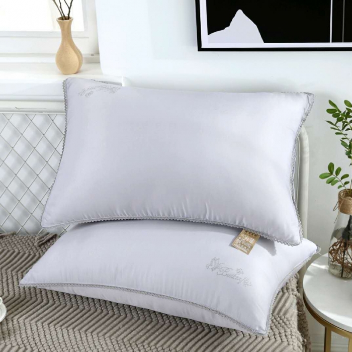 91家纺网 家纺一手货源 找家纺 （总）天意美 2020柔赛丝花边枕芯枕头48*74cm一只
