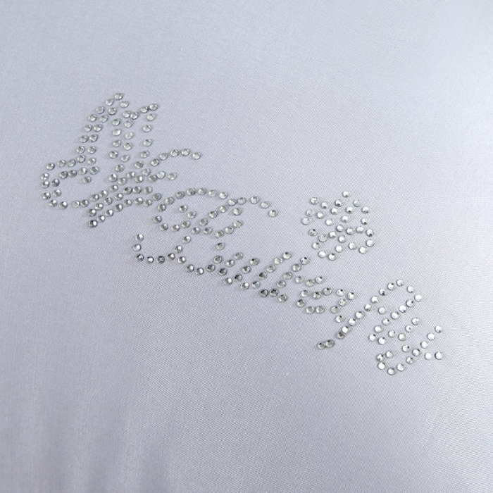 91家纺网 家纺一手货源 找家纺 （总）天意美 2020柔赛丝花边枕芯枕头48*74cm一只