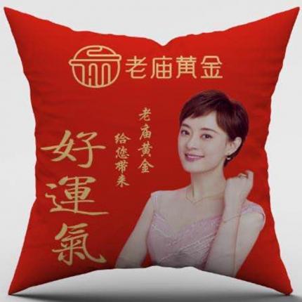 91家纺网 家纺一手货源 找家纺 （总）枕芯真意 2020新款定做抱枕各种尺寸