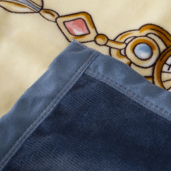 91家纺网 家纺一手货源 找家纺 卡奥轻奢复合毯子拉舍尔毛毯云毯法莱绒水晶绒毛毯 伊蓝堡