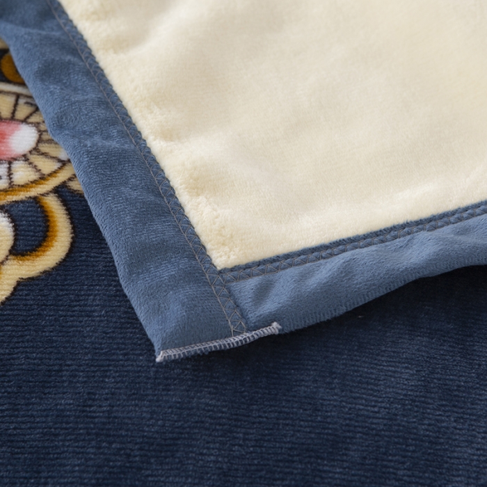 91家纺网 家纺一手货源 找家纺 卡奥轻奢复合毯子拉舍尔毛毯云毯法莱绒水晶绒毛毯 伊蓝堡